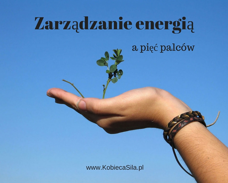 Zarządzanie energią a pięć palców